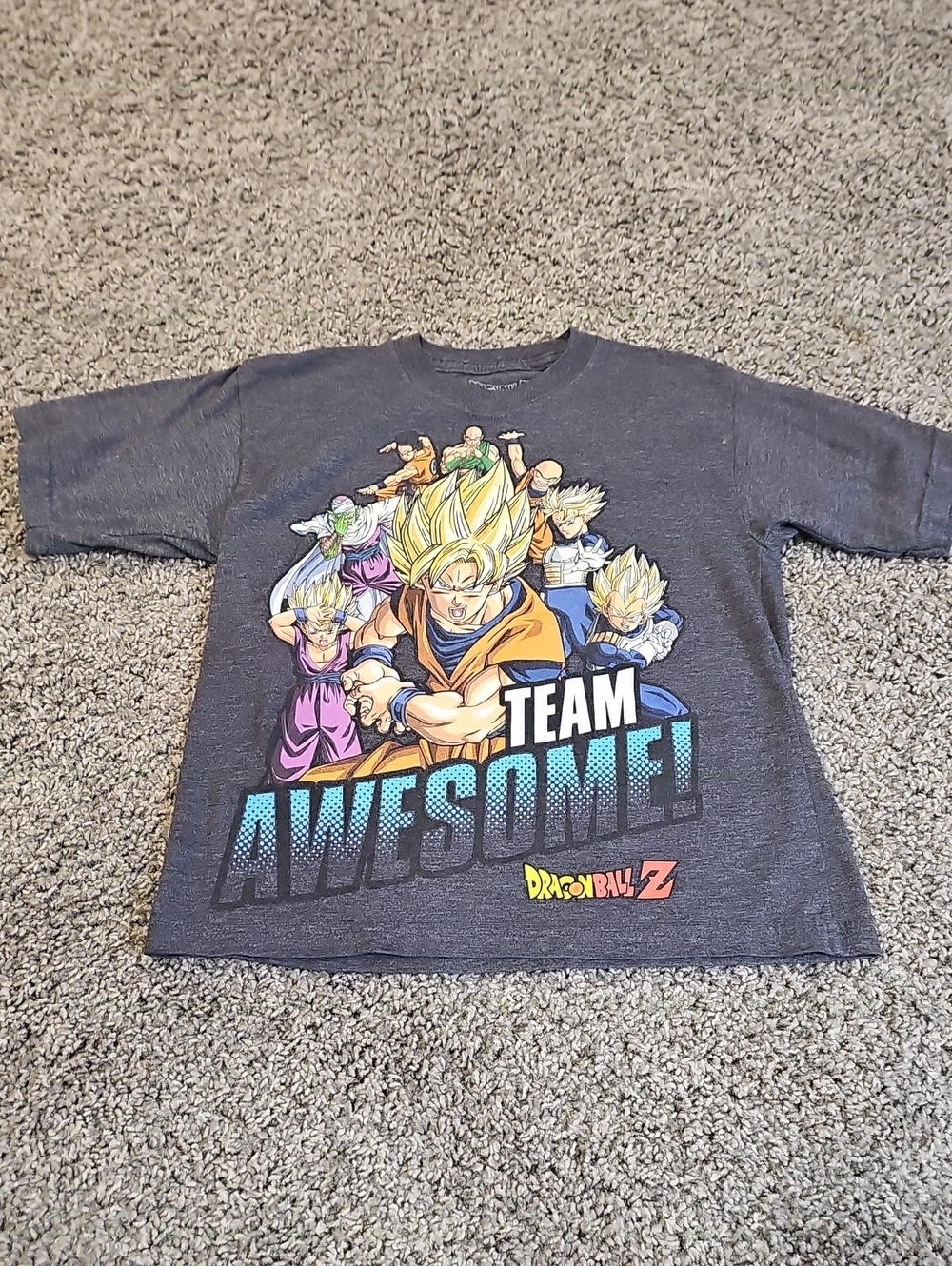 EUC Kids DragonBall Z "Team Awesome" Graphic Tee - Gray Small